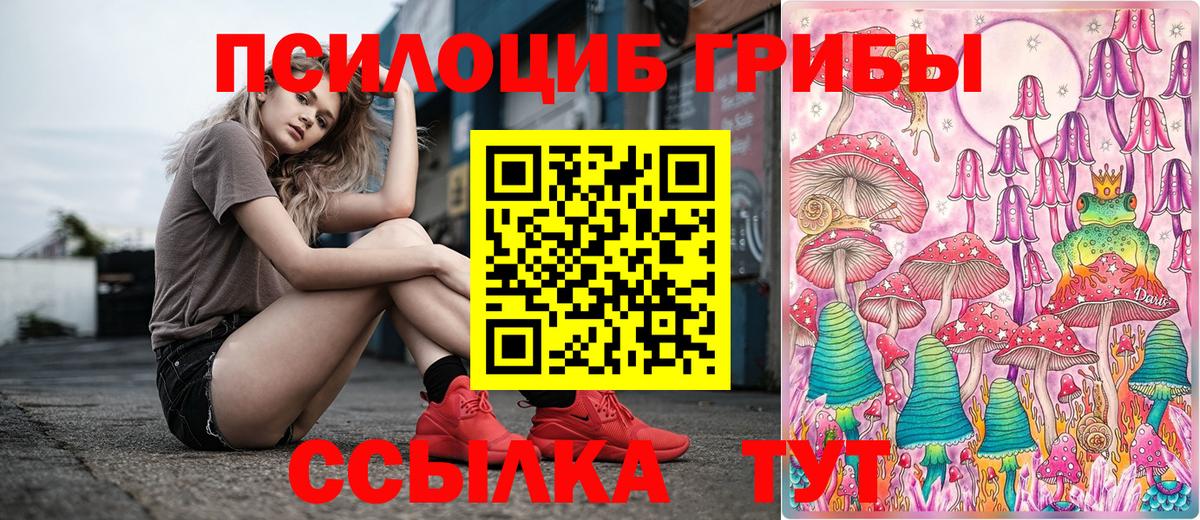 Псилоцибиновые грибы GOLDEN TEACHER  Вход с VPN  Псилоцибиновые грибы Magic Shrooms  где найти наркотики  Амурск 